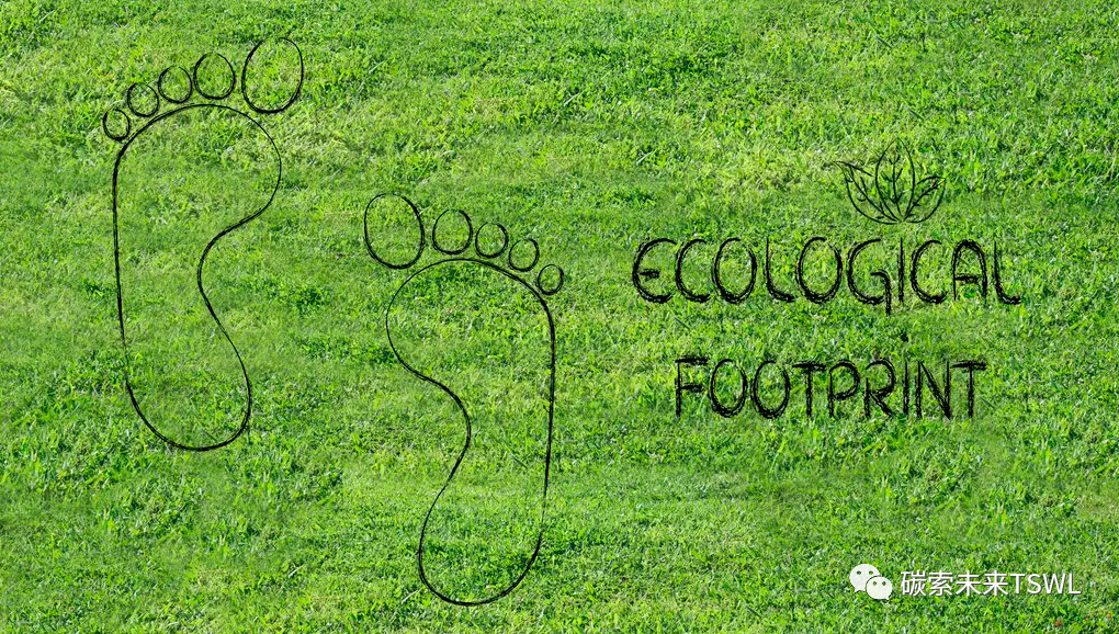 1383f3a9-8825-462e-b9ad-9f53c030ace3.png